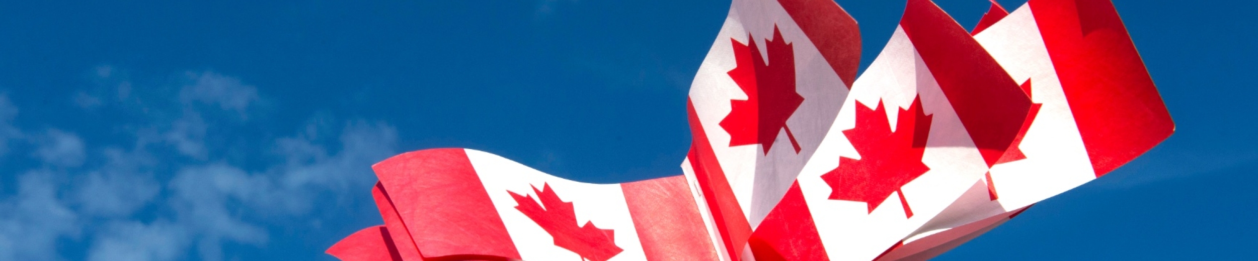 Picture of Canadian Flags